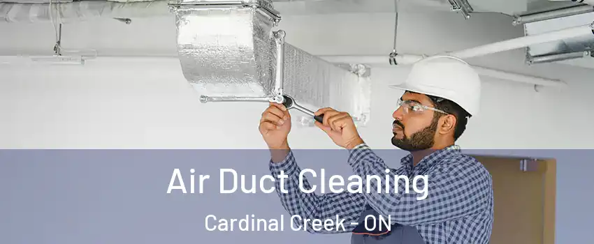  Air Duct Cleaning Cardinal Creek - ON