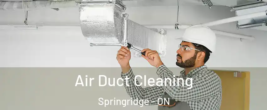  Air Duct Cleaning Springridge - ON
