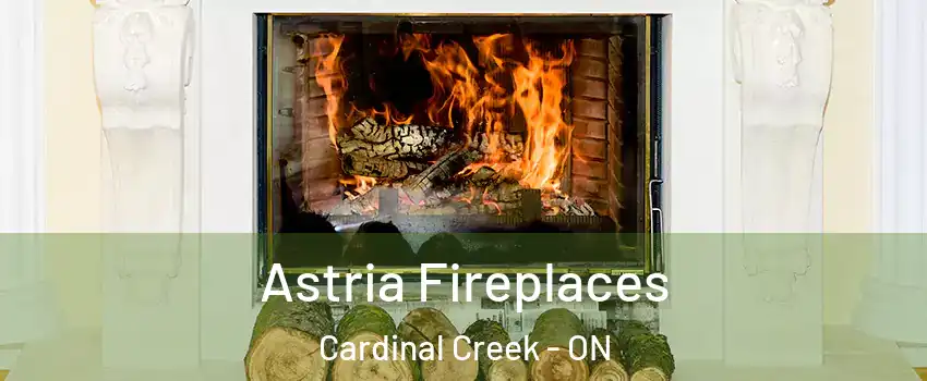  Astria Fireplaces Cardinal Creek - ON