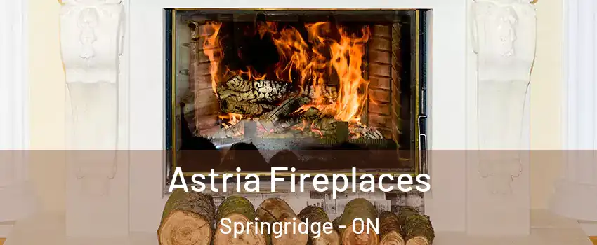  Astria Fireplaces Springridge - ON