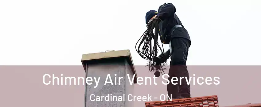  Chimney Air Vent Services Cardinal Creek - ON