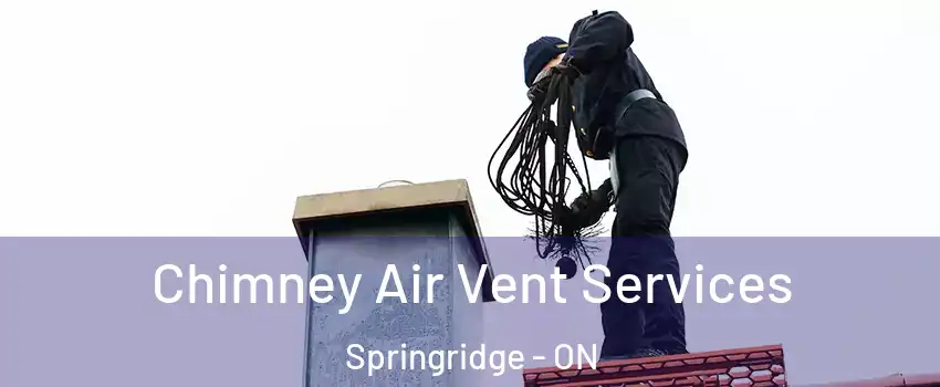 Chimney Air Vent Services Springridge - ON