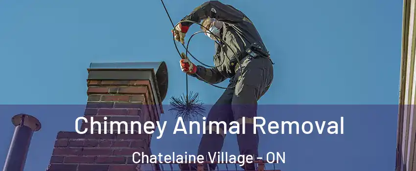  Chimney Animal Removal Chatelaine Village - ON