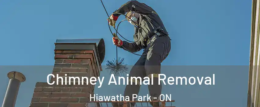 Chimney Animal Removal Hiawatha Park - ON