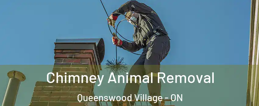  Chimney Animal Removal Queenswood Village - ON