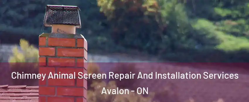 Chimney Animal Screen Repair And Installation Services Avalon - ON
