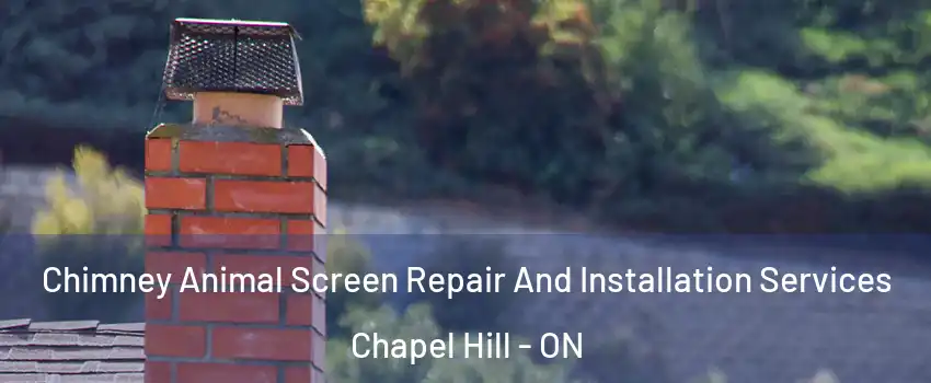  Chimney Animal Screen Repair And Installation Services Chapel Hill - ON