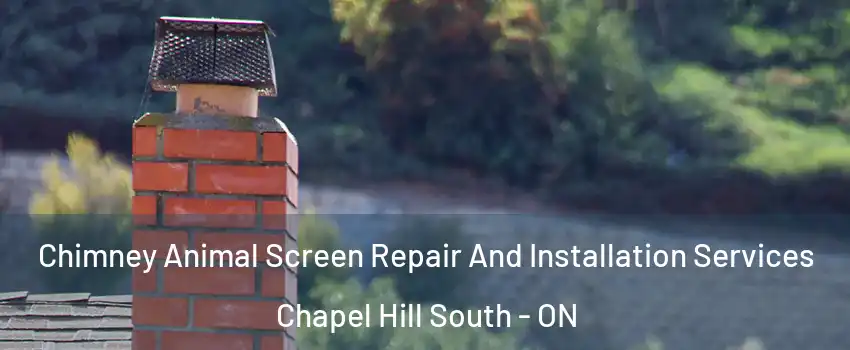  Chimney Animal Screen Repair And Installation Services Chapel Hill South - ON