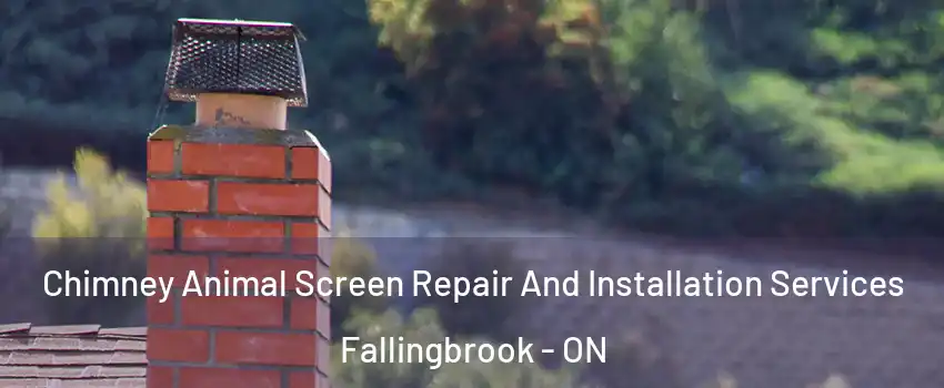  Chimney Animal Screen Repair And Installation Services Fallingbrook - ON