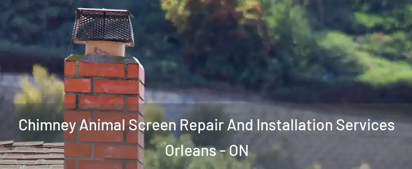  Chimney Animal Screen Repair And Installation Services Orleans - ON