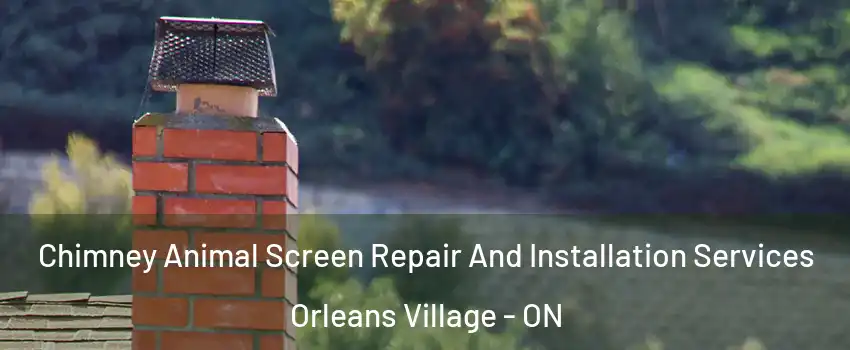  Chimney Animal Screen Repair And Installation Services Orleans Village - ON