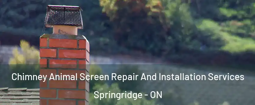  Chimney Animal Screen Repair And Installation Services Springridge - ON