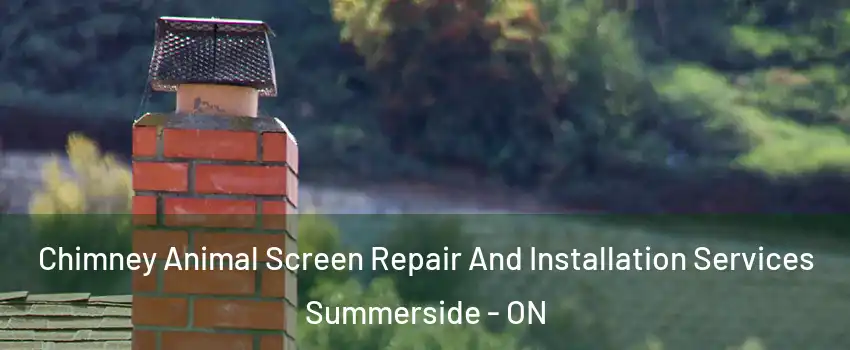  Chimney Animal Screen Repair And Installation Services Summerside - ON