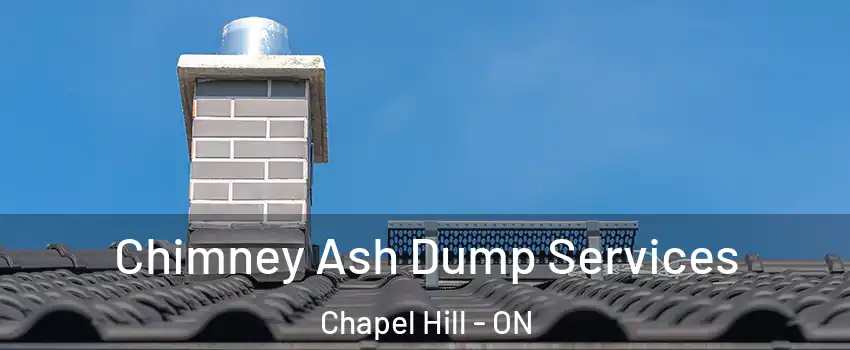  Chimney Ash Dump Services Chapel Hill - ON