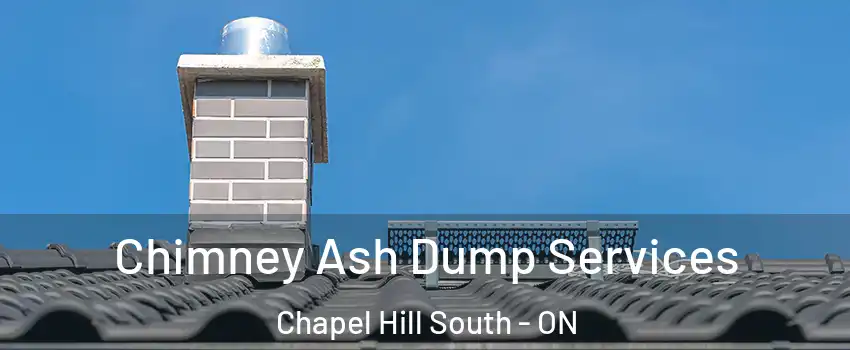 Chimney Ash Dump Services Chapel Hill South - ON