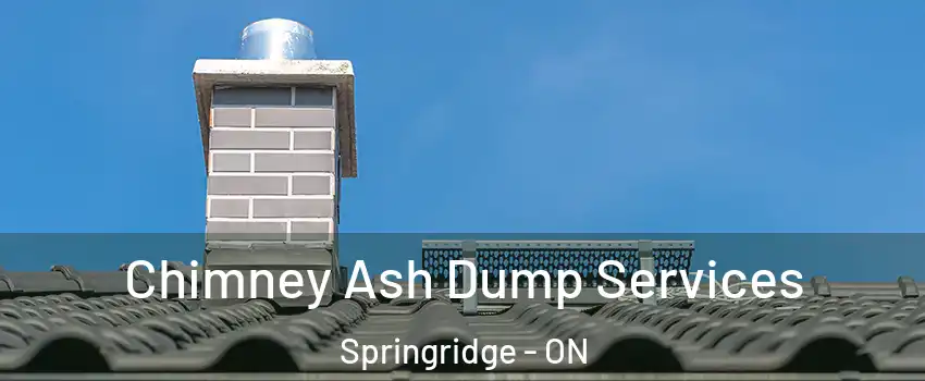 Chimney Ash Dump Services Springridge - ON