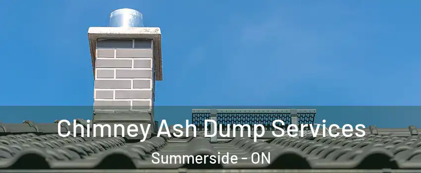  Chimney Ash Dump Services Summerside - ON
