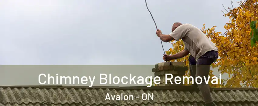  Chimney Blockage Removal Avalon - ON