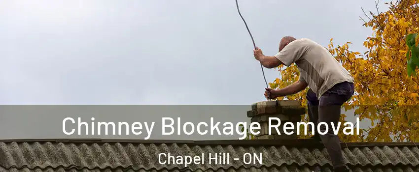  Chimney Blockage Removal Chapel Hill - ON