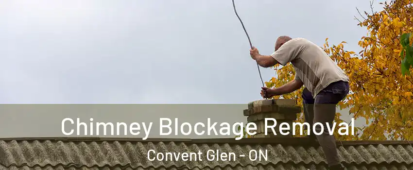  Chimney Blockage Removal Convent Glen - ON