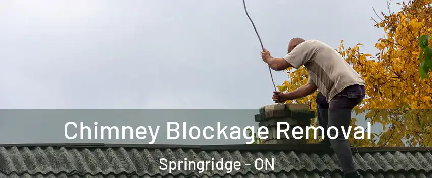  Chimney Blockage Removal Springridge - ON