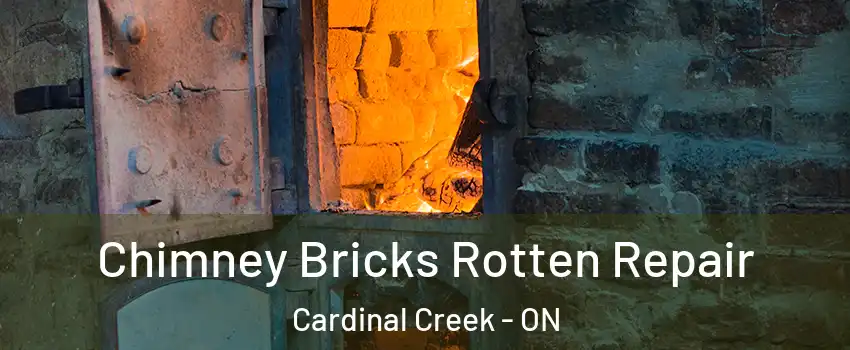  Chimney Bricks Rotten Repair Cardinal Creek - ON