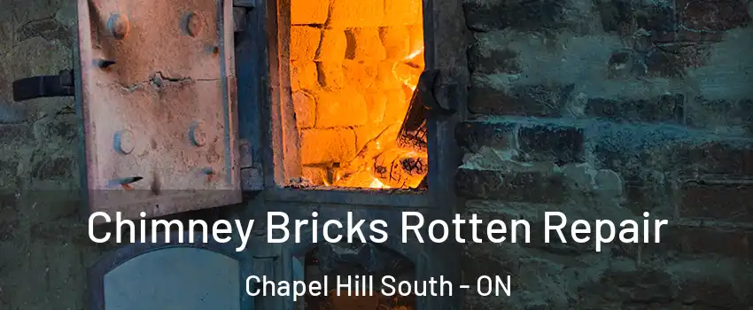 Chimney Bricks Rotten Repair Chapel Hill South - ON