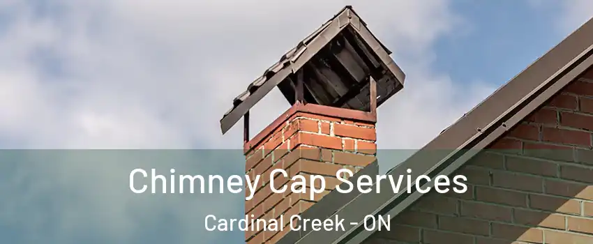  Chimney Cap Services Cardinal Creek - ON