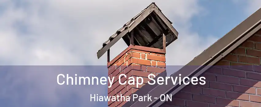  Chimney Cap Services Hiawatha Park - ON