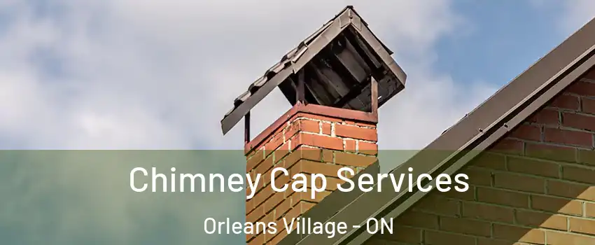  Chimney Cap Services Orleans Village - ON