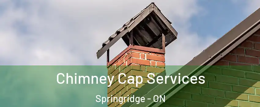 Chimney Cap Services Springridge - ON