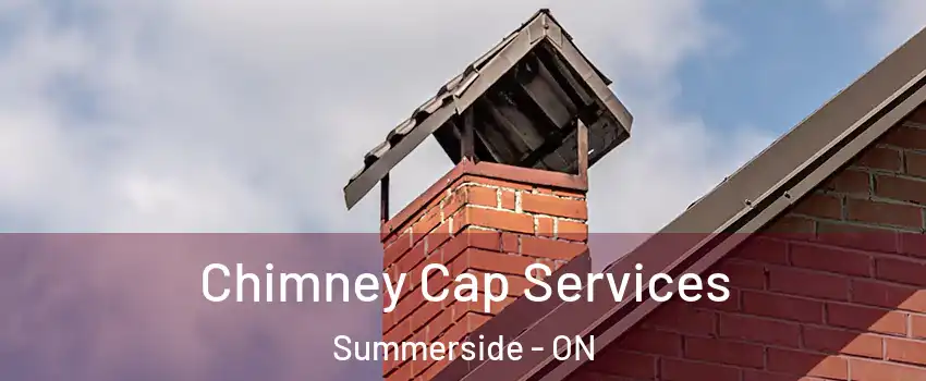  Chimney Cap Services Summerside - ON