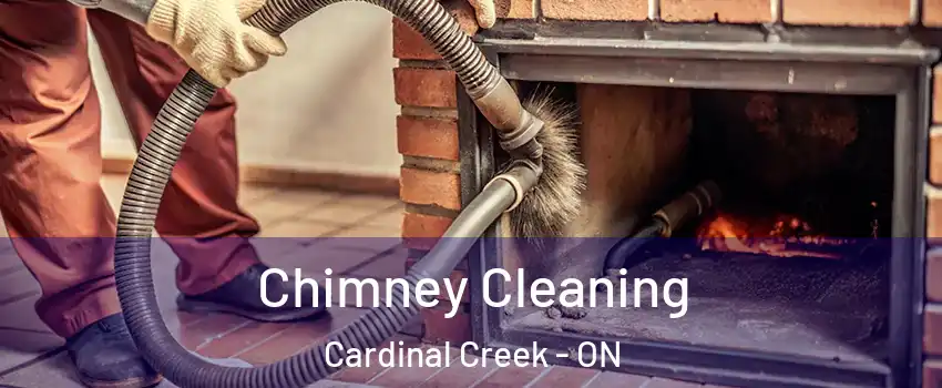  Chimney Cleaning Cardinal Creek - ON