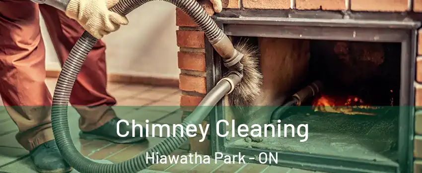 Chimney Cleaning Hiawatha Park - ON