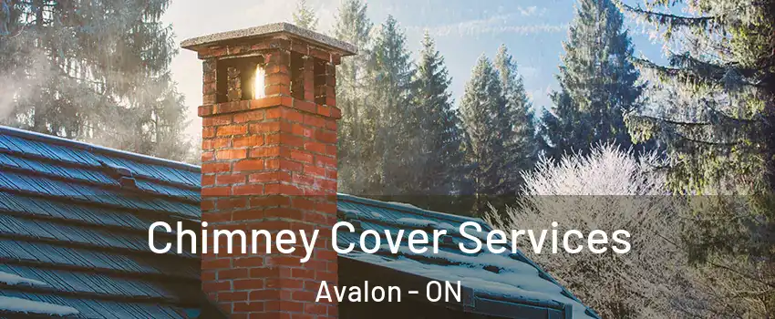  Chimney Cover Services Avalon - ON