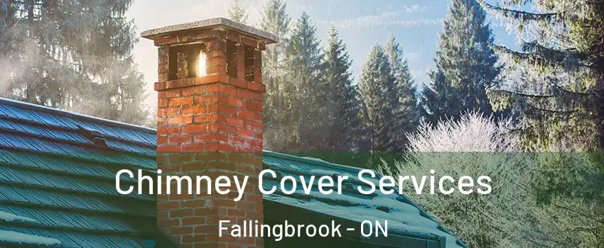  Chimney Cover Services Fallingbrook - ON