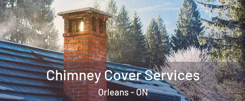 Chimney Cover Services Orleans - ON