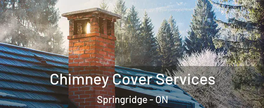 Chimney Cover Services Springridge - ON