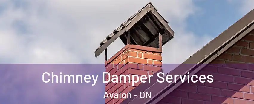 Chimney Damper Services Avalon - ON
