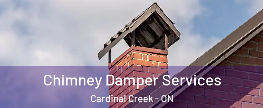  Chimney Damper Services Cardinal Creek - ON