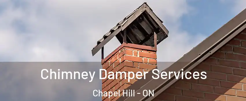  Chimney Damper Services Chapel Hill - ON