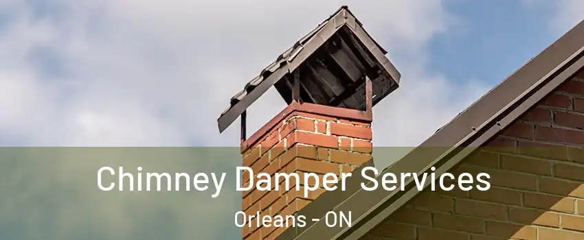  Chimney Damper Services Orleans - ON