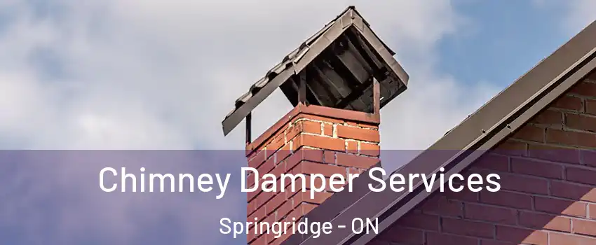 Chimney Damper Services Springridge - ON