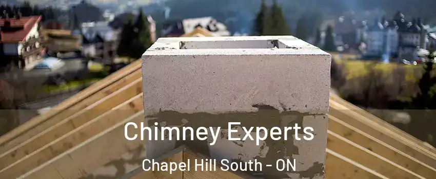 Chimney Experts Chapel Hill South - ON