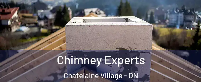  Chimney Experts Chatelaine Village - ON