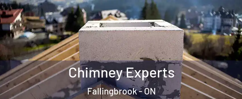  Chimney Experts Fallingbrook - ON