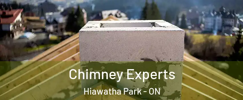  Chimney Experts Hiawatha Park - ON