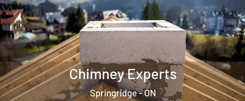 Chimney Experts Springridge - ON