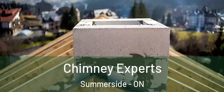  Chimney Experts Summerside - ON