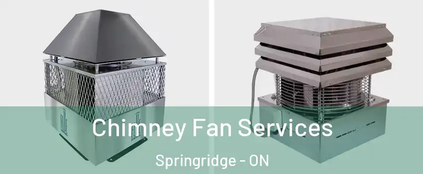  Chimney Fan Services Springridge - ON